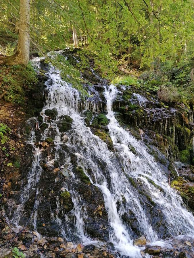 Resort Hanni Deisenberger Fieberbrunn Luaran gambar