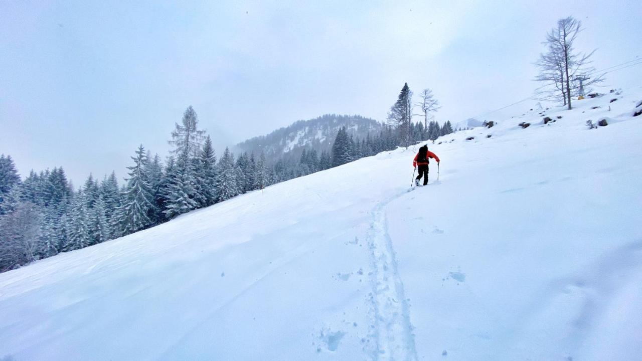 Resort Hanni Deisenberger Fieberbrunn Luaran gambar